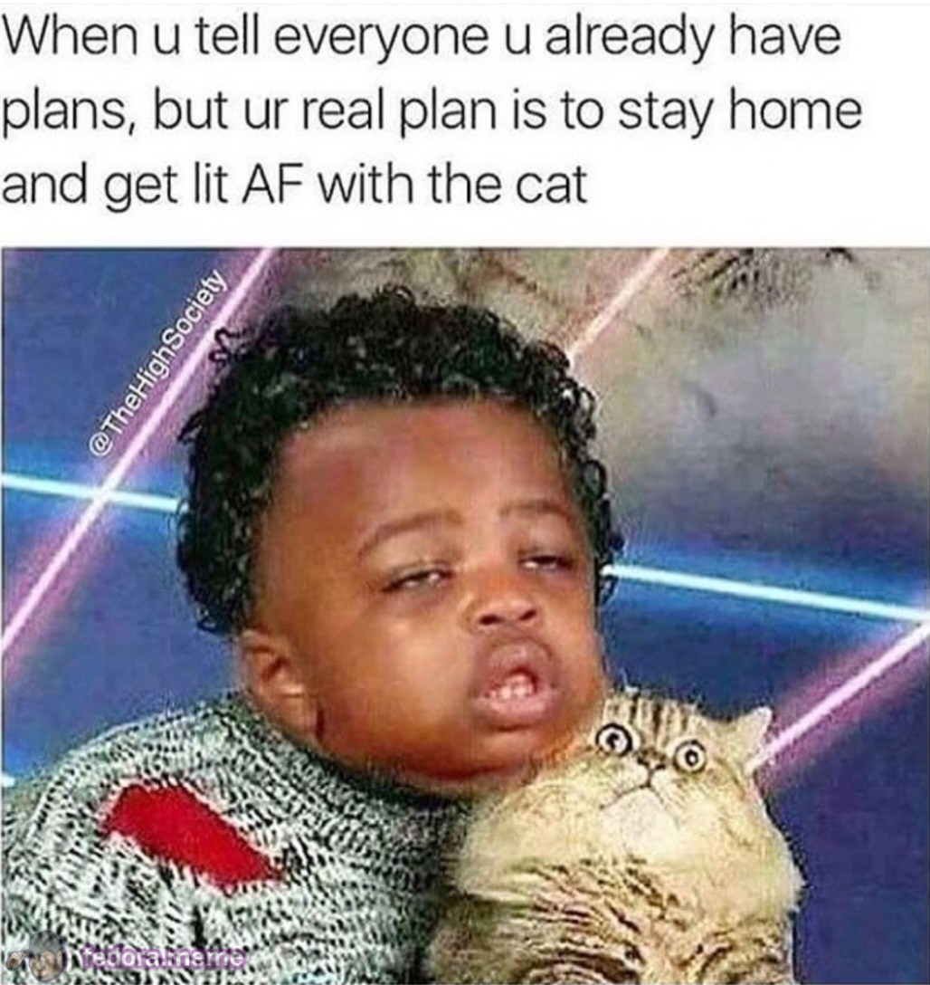 Meme