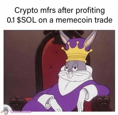 Degens after profiting 0.1 SOL on a memecoin trade
