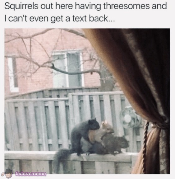 Meme