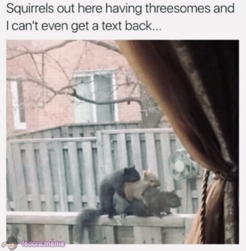 Squizzle Ménage