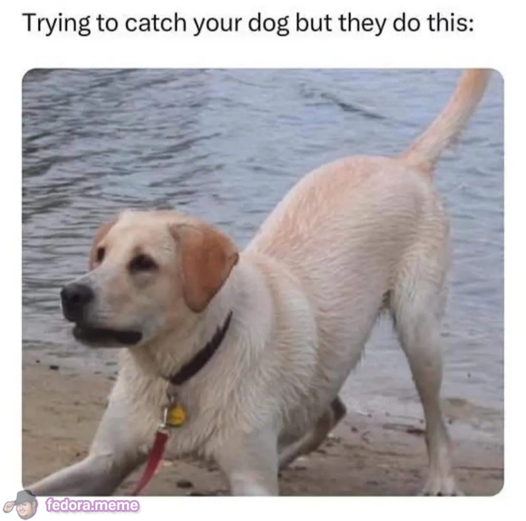 Meme