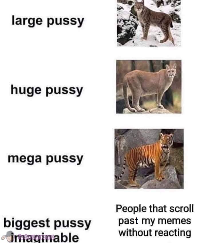 Meme