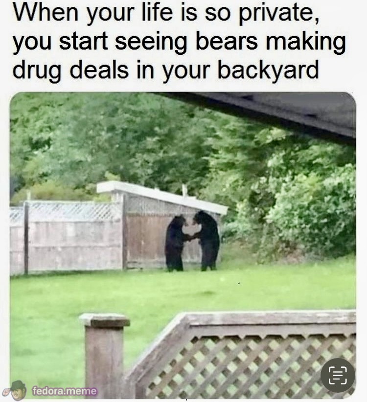 Meme