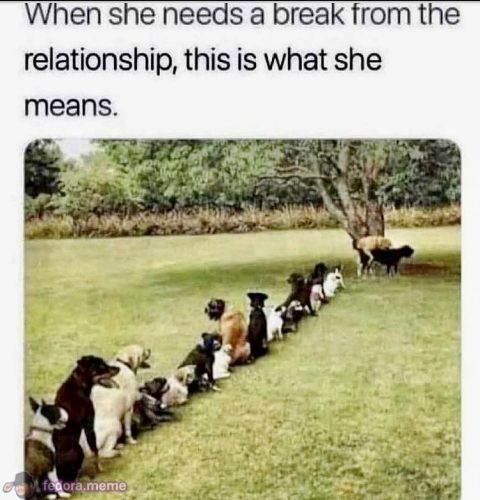 Lined Up