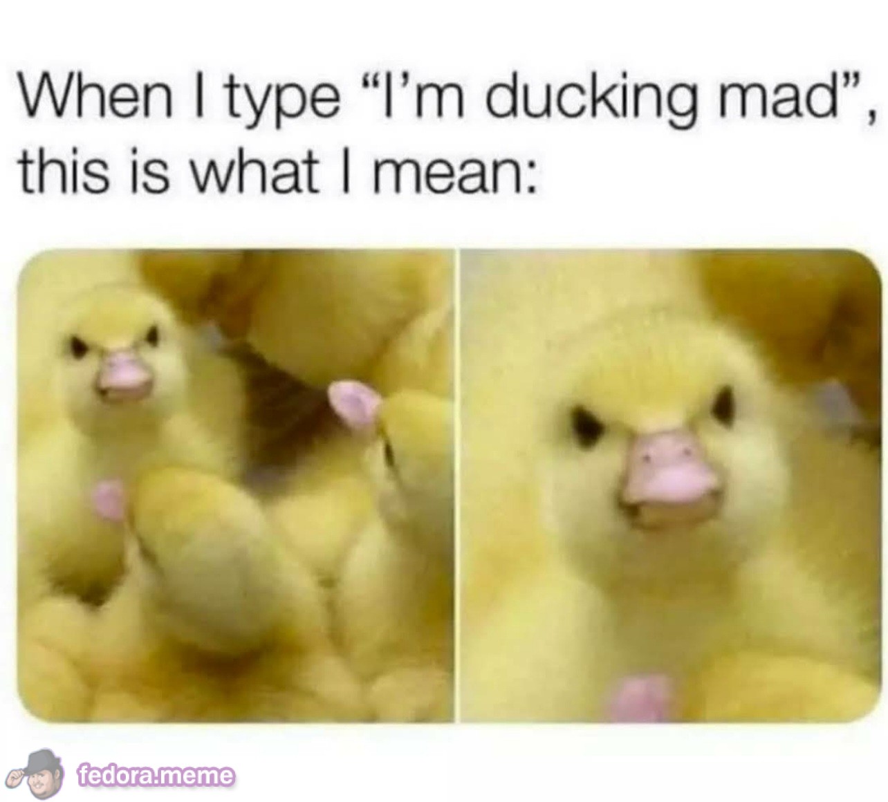 I’m ducking MAD!