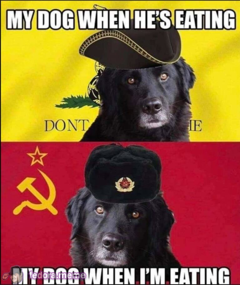 Dog logic..