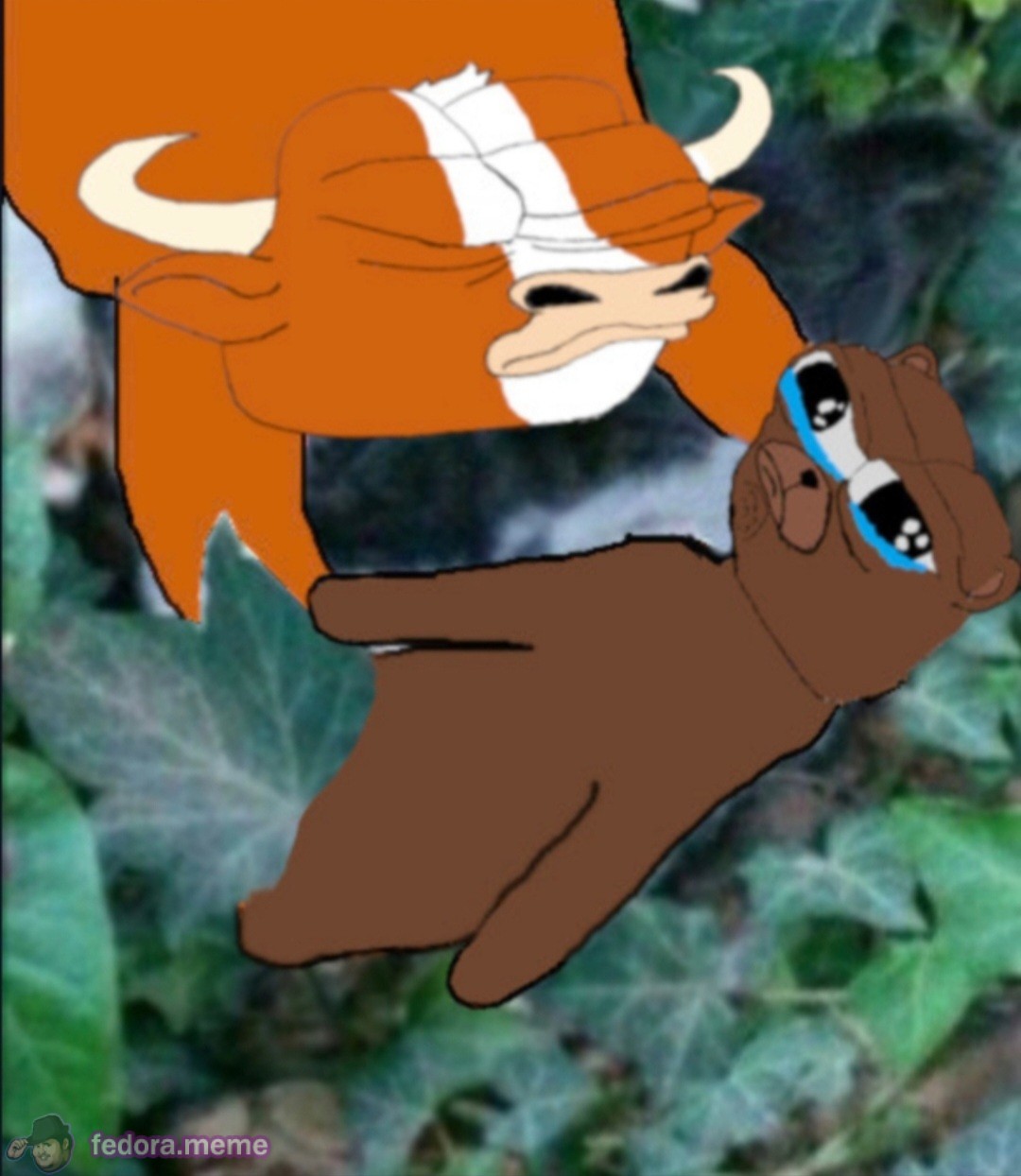 Bulls are back in town