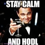 Stay calm and HODL on