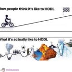 HODL expectations vs. reality