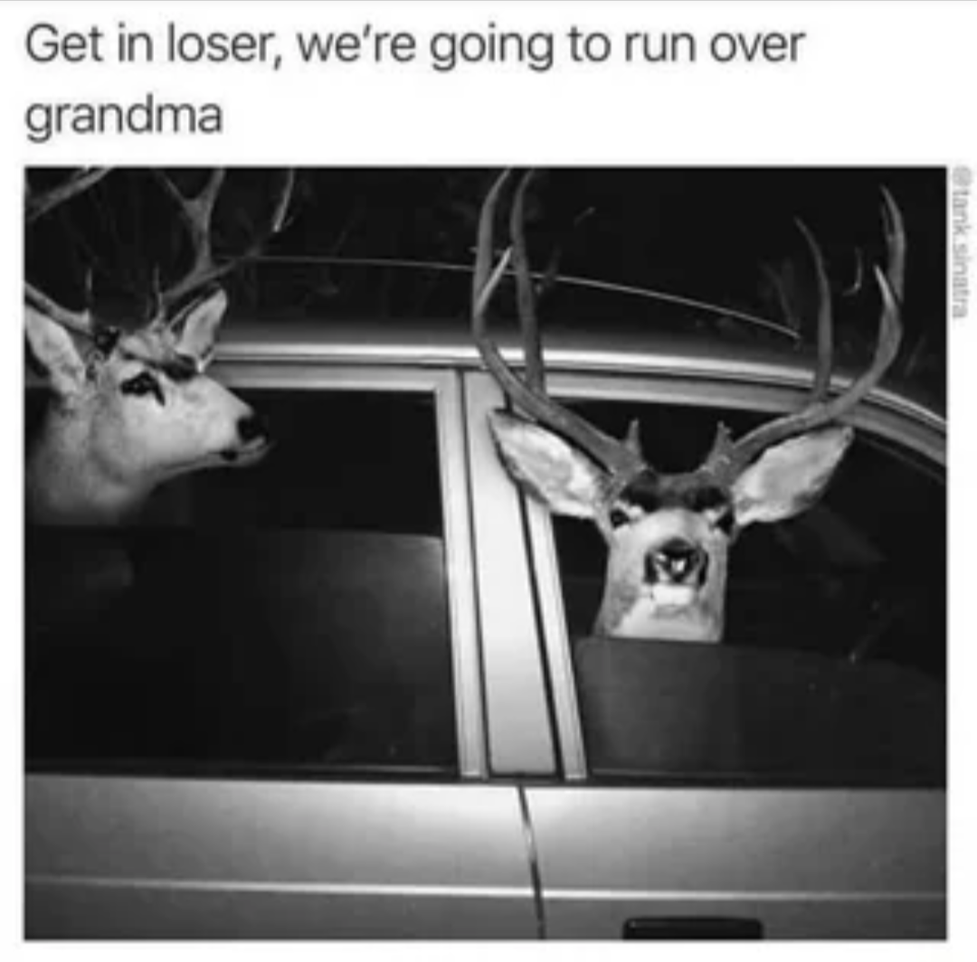 Dude, get in!