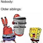 Where all younger siblings are born