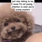 Stop talking to me when I look like this…