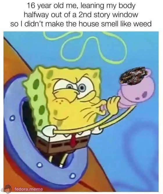 How it was smoking trees back in high school