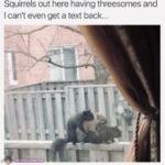 Squizzle Ménage