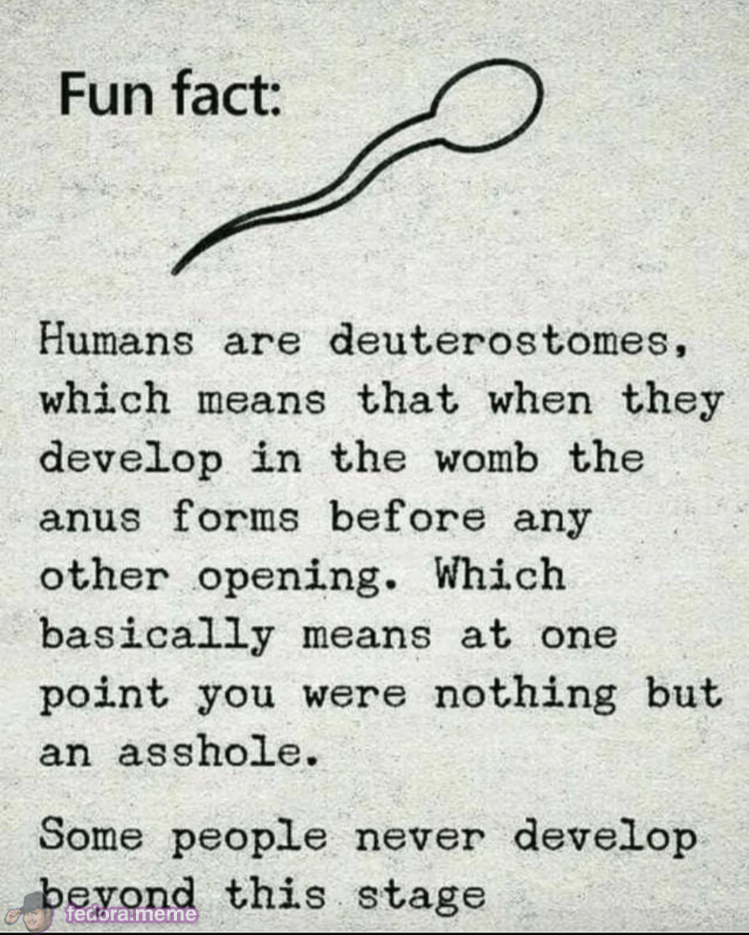 FUN FACT: