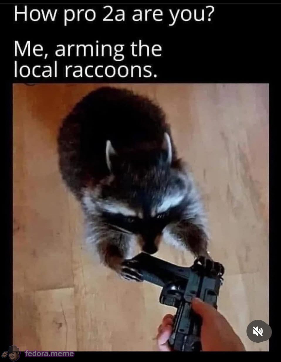 When they ask me how pro 2A I am