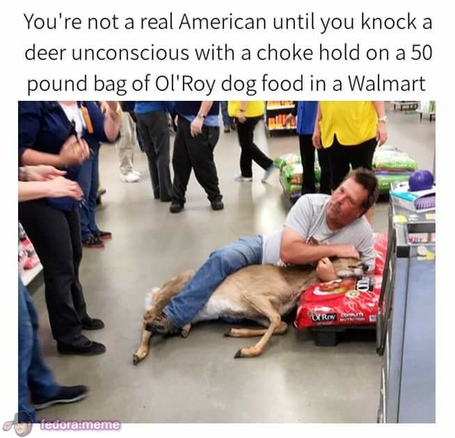 Ol’ Roy, Ol’ Boy