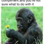 When people say something nice.