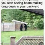 Backyard Side Hustles