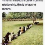 Lined Up