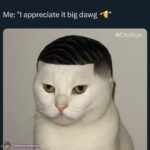 I’ve been grinding in my sleep