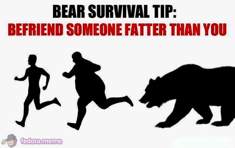 Bear Logic 101