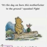 Winnie The Coup