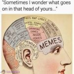 Thought Matrix