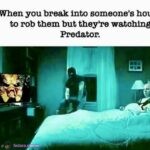 Predator